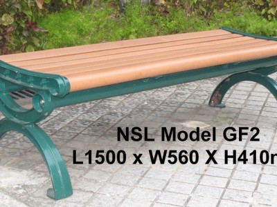 NSL Model GF2