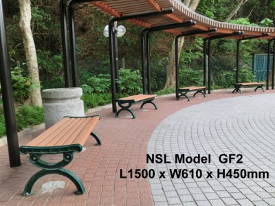 NSL Model GF2
