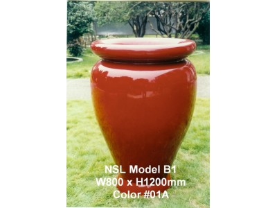NSL Model B1