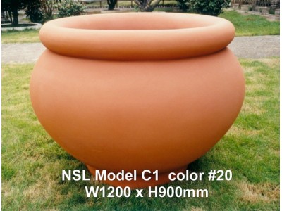 NSL Model C1