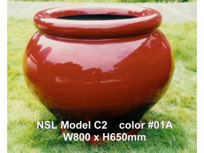 NSL Model C2