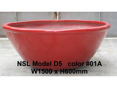 NSL Model D5