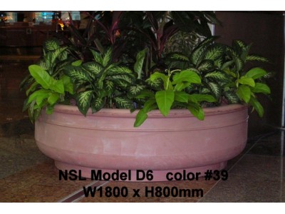 NSL Model D6