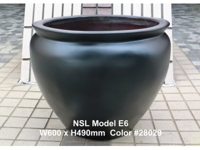 NSL Model E6