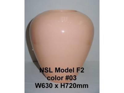 NSL Model F2