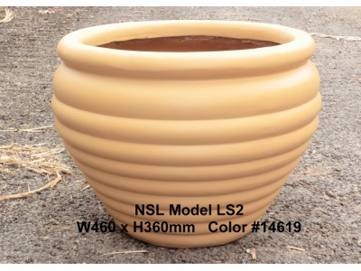 NSL Model LS2