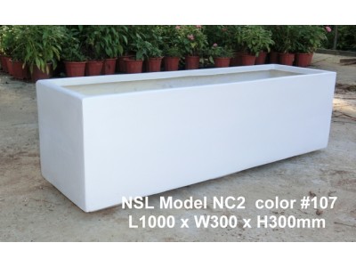 NSL Model NC2