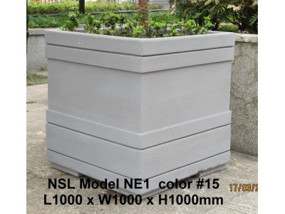 NSL Model NE1