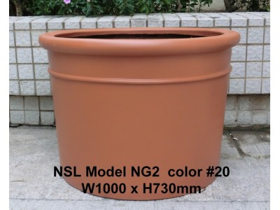 NSL Model NG2