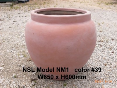 NSL Model NM1