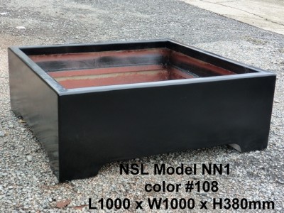 NSL Model NN1