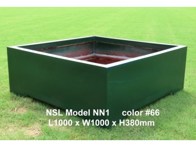 NSL Model NN1