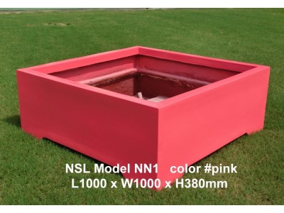 NSL Model NN1