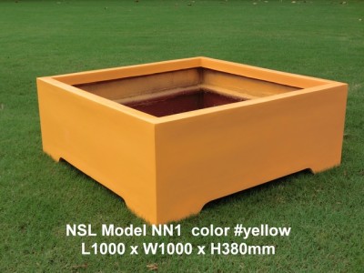 NSL Model NN1