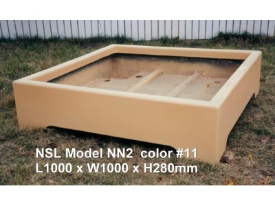 NSL Model NN2