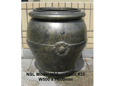NSL Model NS3