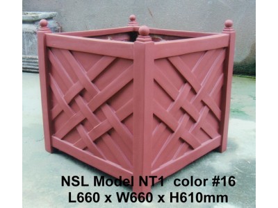 NSL Model NT1