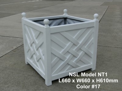 NSL Model NT1