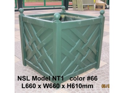 NSL Model NT1