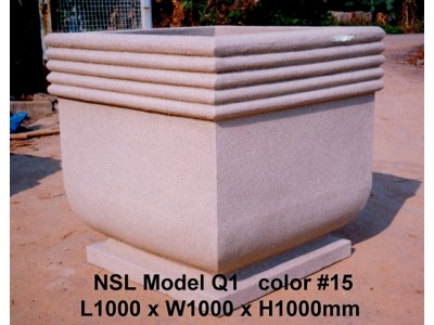NSL Model Q1