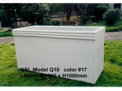 NSL Model Q10