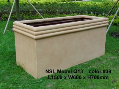 NSL Model Q13