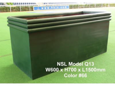 NSL Model Q13