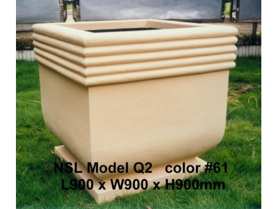NSL Model Q2