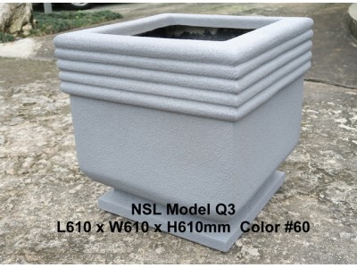 NSL Model Q3