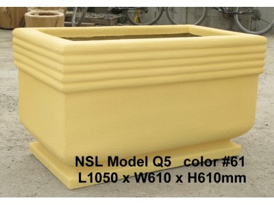 NSL Model Q5