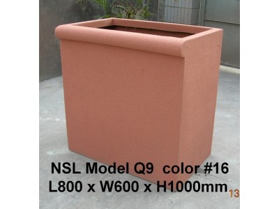 NSL Model Q9