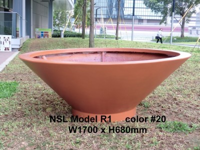 NSL Model R1