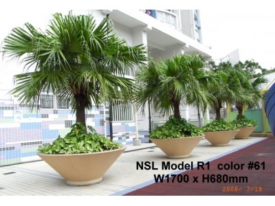 NSL Model R1