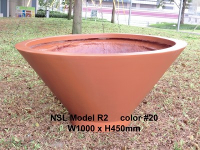 NSL Model R2