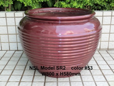 NSL Model SR2