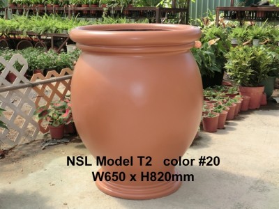 NSL Model T2