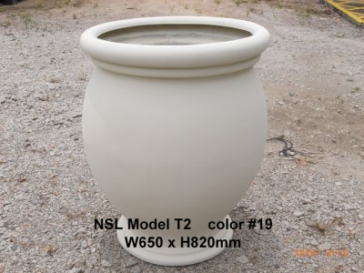 NSL Model T2