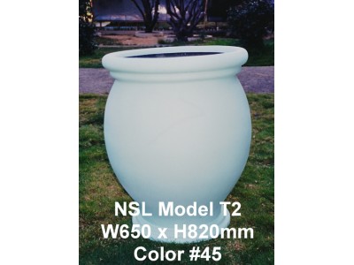 NSL Model T2