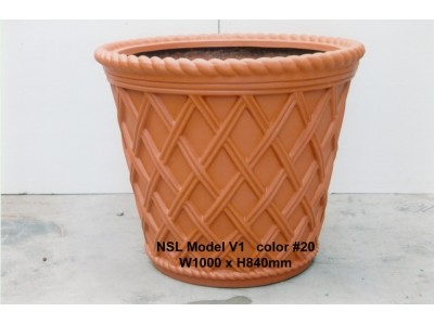 NSL Model V1