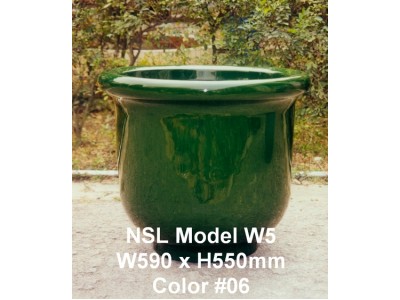 NSL Model W5
