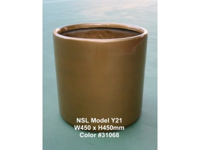 NSL Model Y21