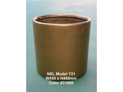 NSL Model Y21