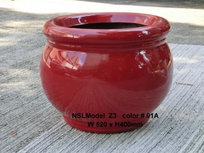 NSL Model Z3
