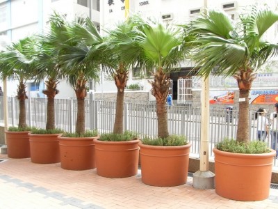 NSL Model NG2 Fibreglass Reinforced Planters